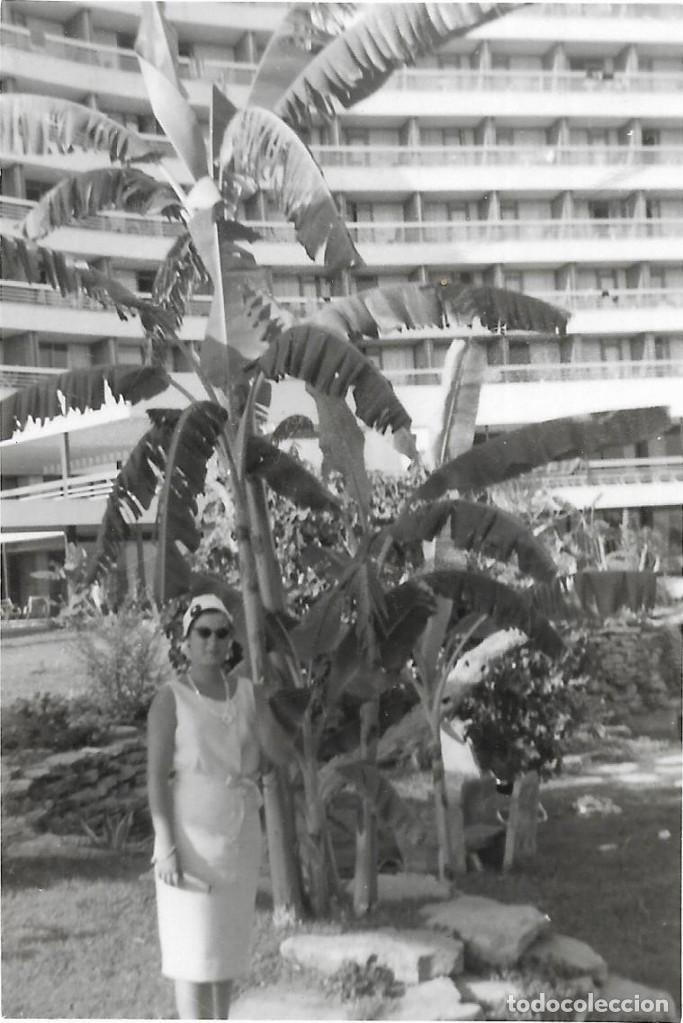 Alte Fotografie: *** CC102 - FOTOGRAFIA - SE&Ntilde;ORA EN UN JARDIN