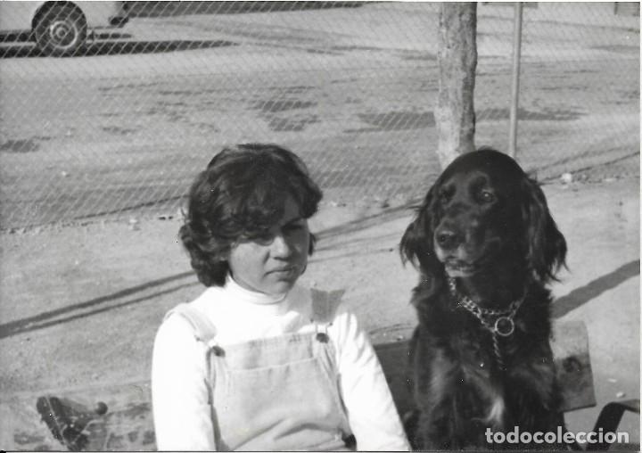 Fotografia antica: == AD677 - FOTOGRAFIA - JOVEN CON UN PERRO