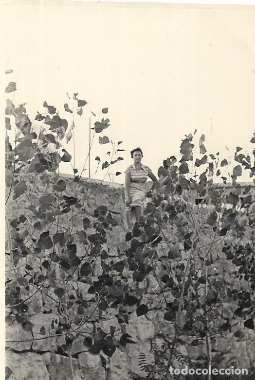 Photographie ancienne: *** AF341 - FOTOGRAFIA - SE&Ntilde;ORA EN EL CAMPO