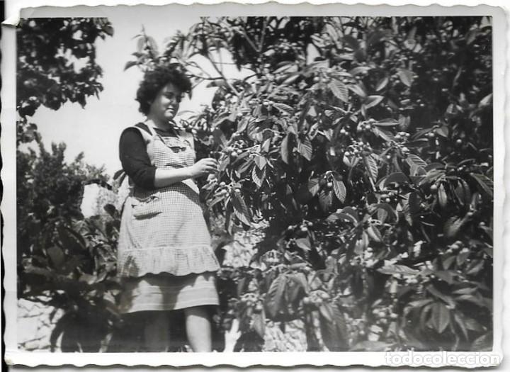 Photographie ancienne: == AD598 - FOTOGRAFIA - SE&Ntilde;ORA JUNTO A UN ARBOL DE NISPEROS