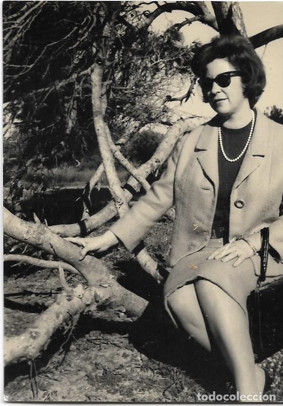 Fotografia antica: == AF853 - FOTOGRAFIA - SE&Ntilde;ORA SENTADA SOBRE UNOS TRONCOS