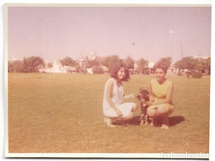 Fotografia antica: == AF924 - FOTOGRAFIA - DOS AMIGAS CON UN PERRITO