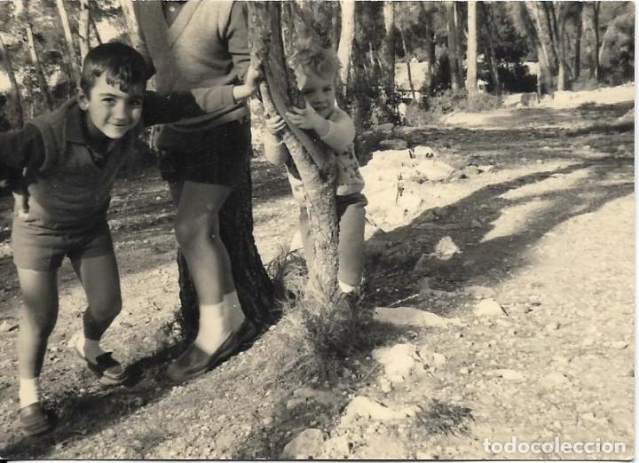 Fotografia antica: :::: MM04 - FOTOGRAFIA - JOVENCITOS JUGANDO EN UN BOSQUE