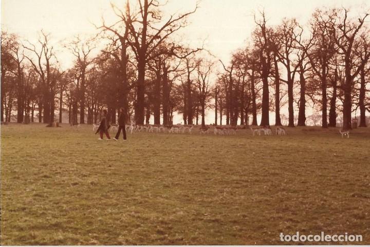 Antique Photography: == MM480 - FOTOGRAFIA - PAISAJE