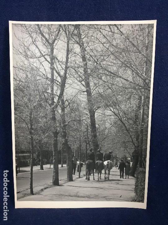 Fotograf&iacute;a antigua: fotografia blanco negro jinetes parejas caballos paseo arboleda fiesta a&ntilde;os 40 50 S XX
