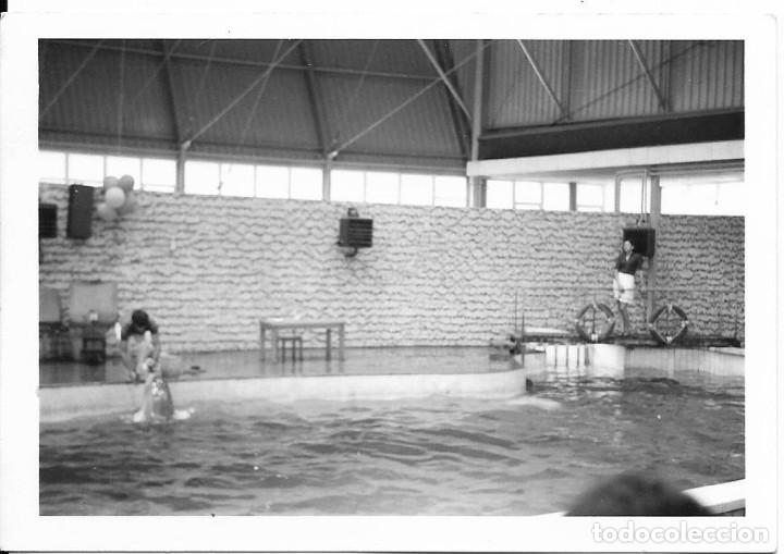 Fotograf&iacute;a antigua: == MM815 - FOTOGRAFIA - DELFINARIO
