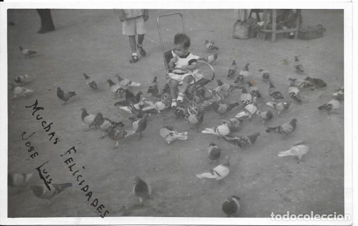 Fotografia antiga: :::: MM736 - FOTOGRAFIA - NI&Ntilde;ITO EN SU SILLA JUNTO A UNAS PALOMAS