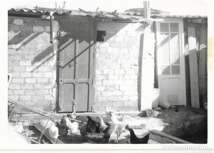 Fotografia antiga: == MM855 - FOTOGRAFIA - PATIO CON GALLINAS