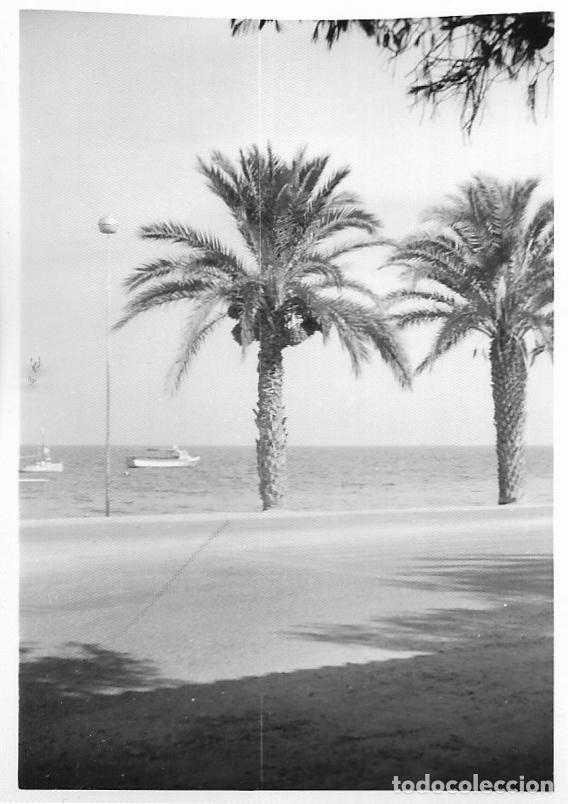 Fotografia antiga: == MM885 - FOTOGRAFIA - PAISAJE