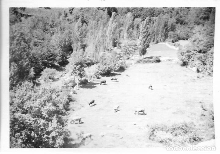 Fotografia antiga: == MM889 - FOTOGRAFIA - PAISAJE