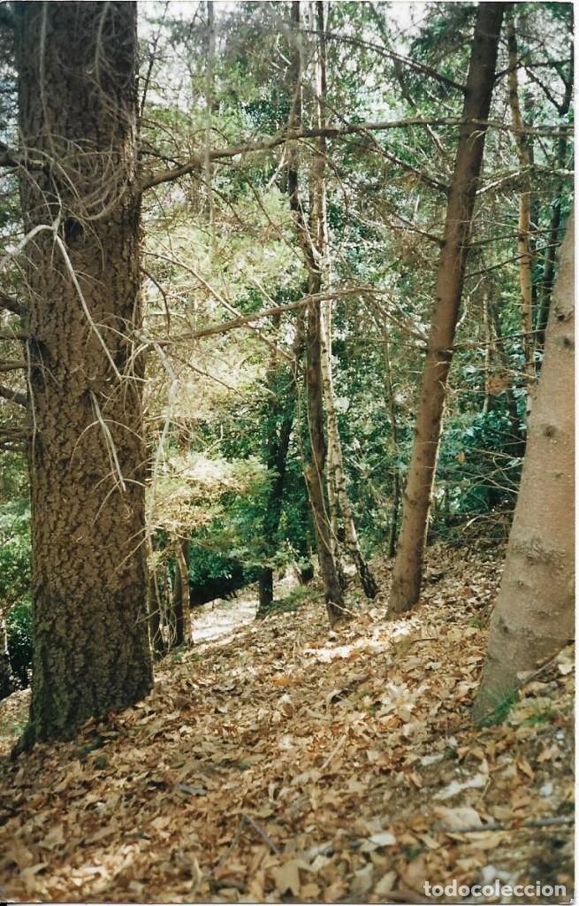 Fotografia antiga: :::: VF434 - FOTOGRAFIA - PAISAJE