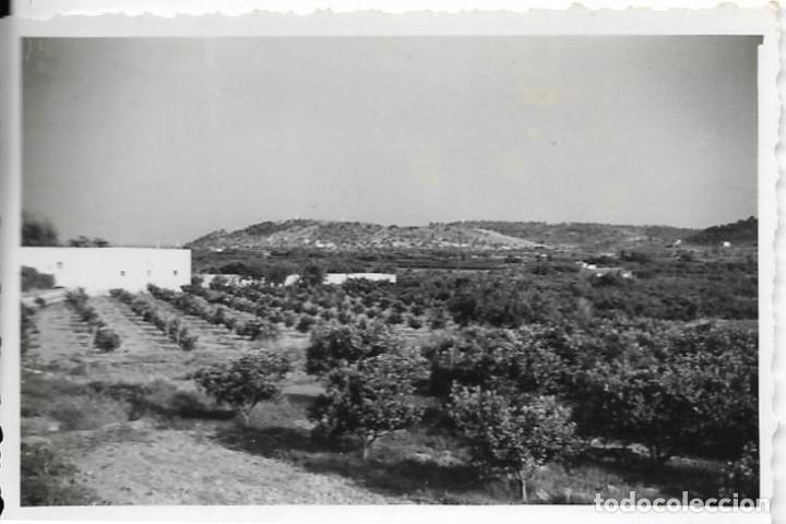 Fotograf&iacute;a antigua: == F112 - FOTOGRAFIA - PAISAJE