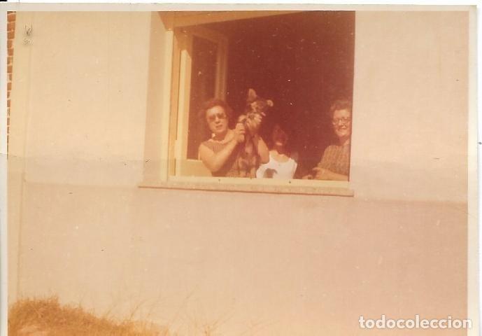 Fotograf&iacute;a antigua: == F119 - FOTOGRAFIA - DOS SE&Ntilde;ORAS Y UN PERRITO ASOMADOS A UNA VENTANA
