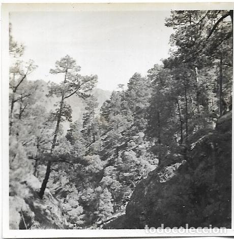 Photographie ancienne: == F135 - FOTOGRAFIA - PAISAJE - 6 X 6 CM.