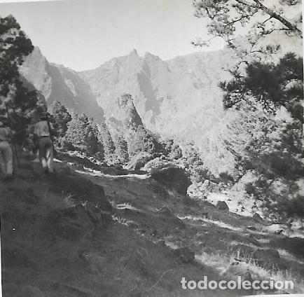 Photographie ancienne: == F157 - FOTOGRAFIA - PAISAJE - 6 X 6 CM.