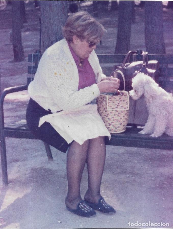 Fotograf&iacute;a antigua: :::: C331 - FOTOGRAFIA - SE&Ntilde;ORA CON UN PERRITO