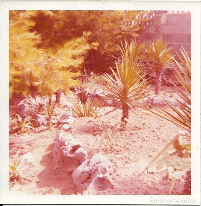 Photographie ancienne: == AF176 - FOTOGRAFIA - PAISAJE