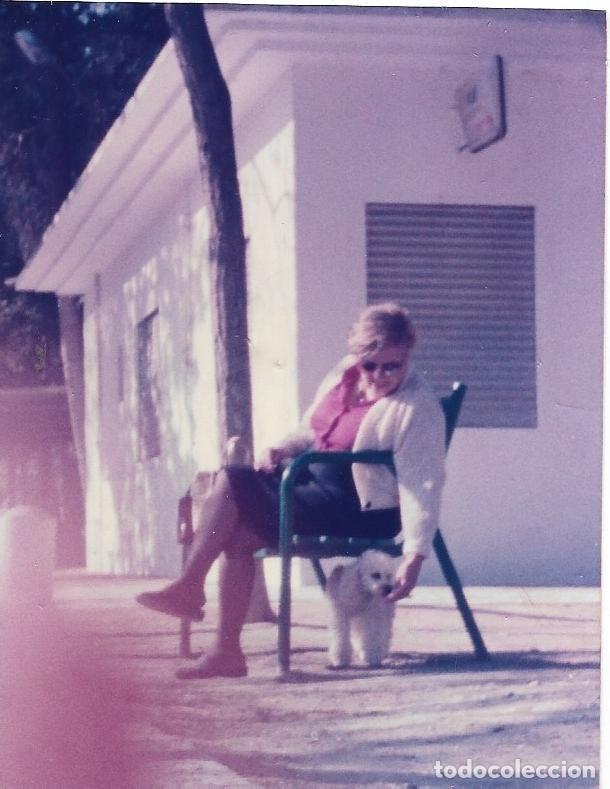 Photographie ancienne: == F240 - FOTOGRAFIA - SE&Ntilde;ORA CON UN PERRITO