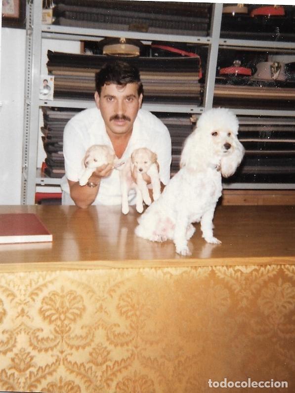 Antique Photography: == F23 - FOTOGRAFIA - JOVEN DETRAS DE UN MOSTRADOR DE UNA TIENDA DE TELAS CON TRES PERRITOS
