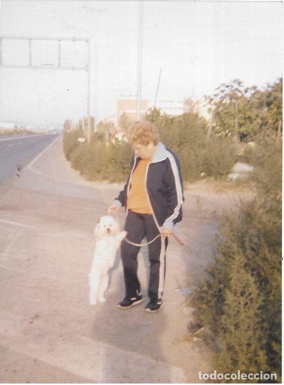 Antique Photography: *** F61 - FOTOGRAFIA - SE&Ntilde;ORA CON UN PERRITO