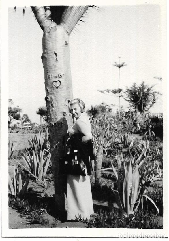 Antique Photography: == BB111 - FOTOGRAFIA - SE&Ntilde;ORA EN UN JARDIN