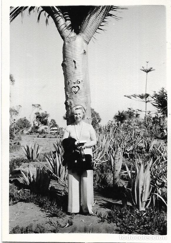 Antique Photography: == BB128 - FOTOGRAFIA - SE&Ntilde;ORA EN UN JARDIN