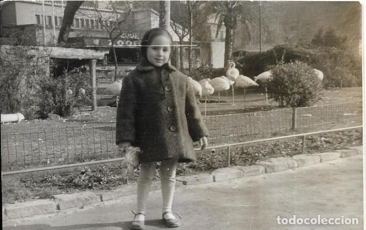 Antique Photography: :::: RR69 - FOTOGRAFIA - NI&Ntilde;ITA EN EL ZOO