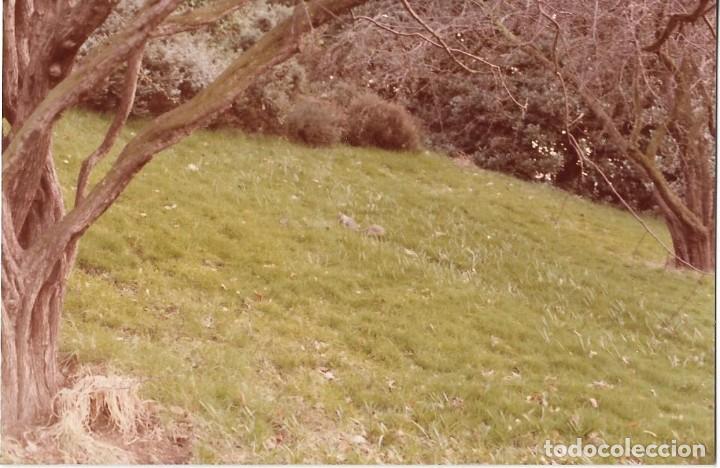 Fotografia antiga: :::: VF381 - FOTOGRAFIA - PAISAJE