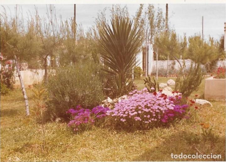 Alte Fotografie: == RR489 - FOTOGRAFIA - PAISAJE - JARDIN