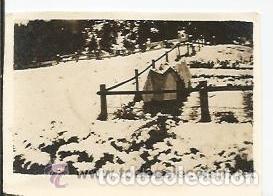 Alte Fotografie: *** FP170 - FOTOGRAFIA PEQUE&Ntilde;O FORMATO - PAISAJE - 6,5 X 4,5 CM.