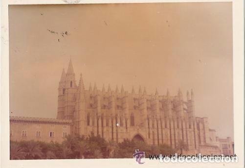 Alte Fotografie: == B509 - FOTOGRAFIA - CATEDRAL DE PALMA DE MALLORCA - 1970