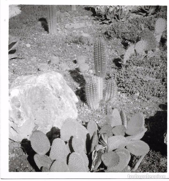 Alte Fotografie: == AB616 - FOTOGRAFIA - PAISAJE