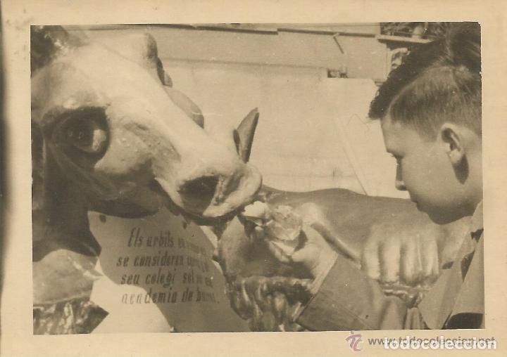 Alte Fotografie: == B674 - FOTOGRAFIA - JOVENCITO MIRANDO UN NITOT DE UNA FALLA