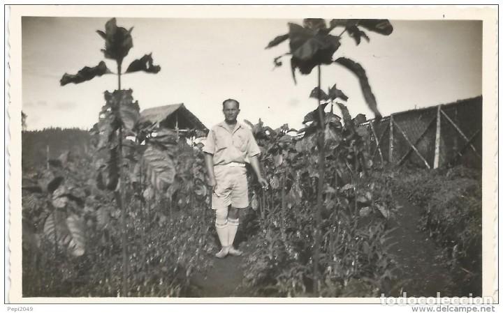 Alte Fotografie: == C795 - FOTOGRAFIA - SE&Ntilde;OR EN EL CAMPO
