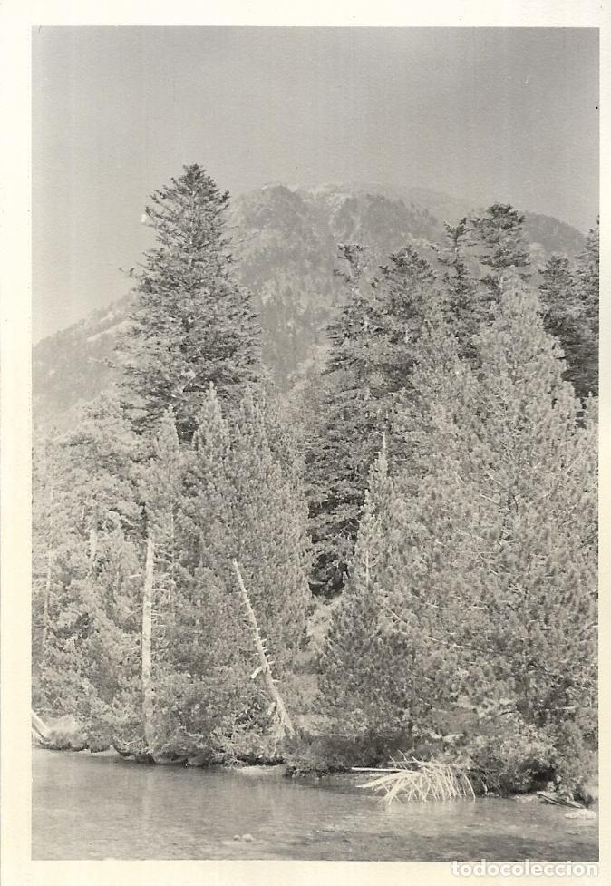 Fotograf&iacute;a antigua: :::: PV38 - FOTOGRAFIA - PAISAJE - AIG&Uuml;ES TORTES 1973