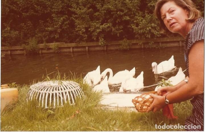 Photographie ancienne: == R775 - FOTOGRAFIA - SE&Ntilde;ORA DANDO DE COMER A UNOS CISNES