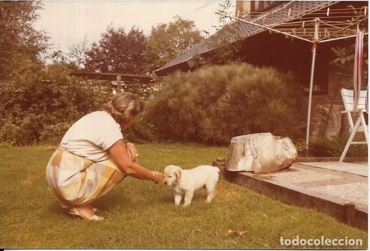 Photographie ancienne: :::: R787 - FOTOGRAFIA - SE&Ntilde;ORA CON UN PERRITO