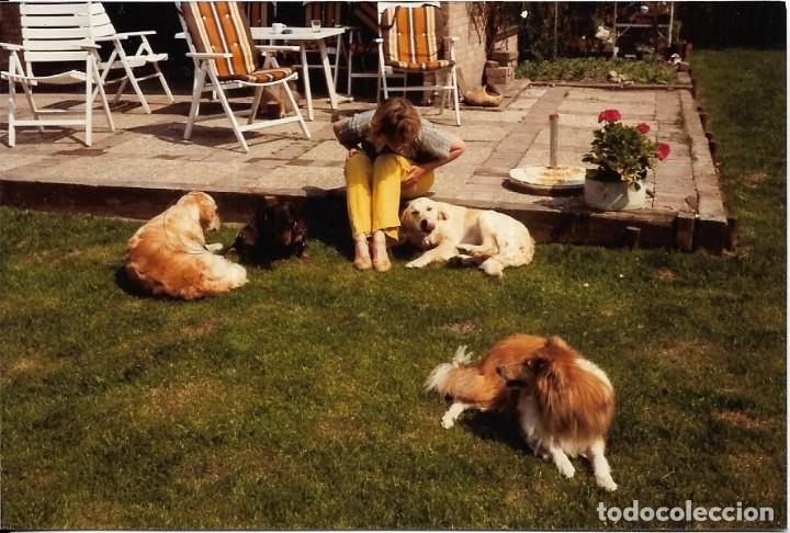 Photographie ancienne: == R619 - FOTOGRAFIA - SE&Ntilde;ORA CON CUATRO PERRITOS