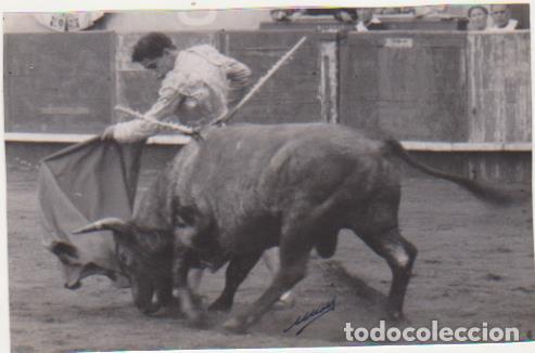 Fotografia antiga: Fotograf&iacute;a (17x11.) Plaza de toros de San Sebasti&aacute;n. Fot&oacute;grafo P. Mari-San Sebasti&aacute;n. 1953?