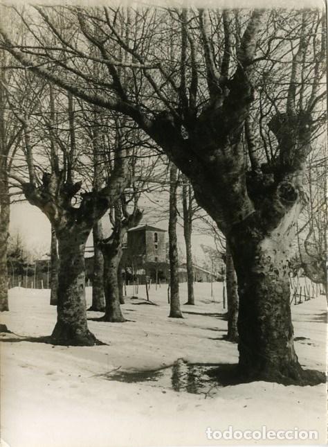 Fotografia antica: ARRATE-EIBAR (GUIP&Uacute;ZCOA) HACIA 1930. PINTORESCA IMAGEN DEL LUGAR DESPU&Eacute;S DE LA COPIOSA NEVADA.....