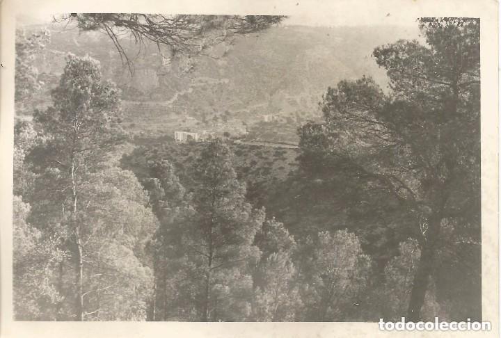 Alte Fotografie: *** C211 - FOTOGRAFIA - PAISAJE DE MONTA&Ntilde;A