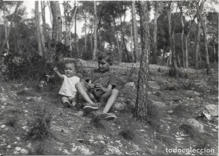 Alte Fotografie: == B429 - FOTOGRAFIA - NI&Ntilde;OS SENTADOS EN UN BOSQUE