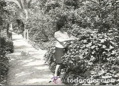 Alte Fotografie: == B213 - FOTOGRAFIA - SE&Ntilde;ORA EN UN JARDIN