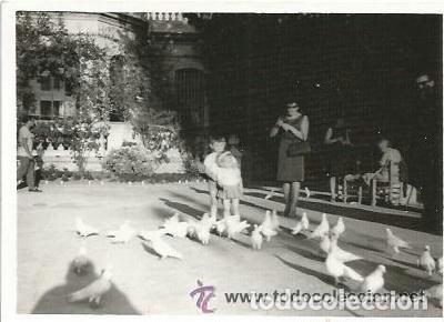 Alte Fotografie: == B214 - FOTOGRAFIA - DOS NI&Ntilde;ITOS CON LAS PALOMAS