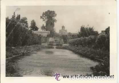 Antique Photography: == B263 - FOTOGRAFIA - BONITO PAISAJE