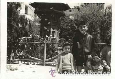 Antique Photography: == B292 - FOTOGRAFIA - GRUPO DE NI&Ntilde;OS EN BONITO PAISAJE