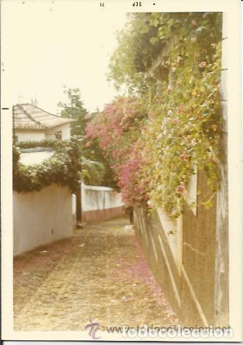 Antique Photography: *** QW99 - FOTOGRAFIA - PAISAJE