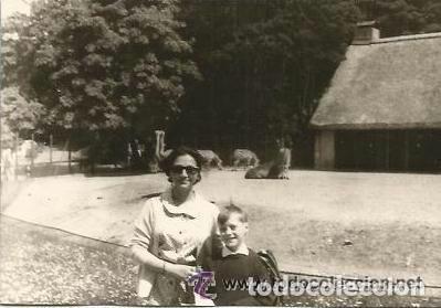 Antique Photography: == B442 - FOTOGRAFIA - SE&Ntilde;ORA CON SU NI&Ntilde;O EN EL ZOO - 1966