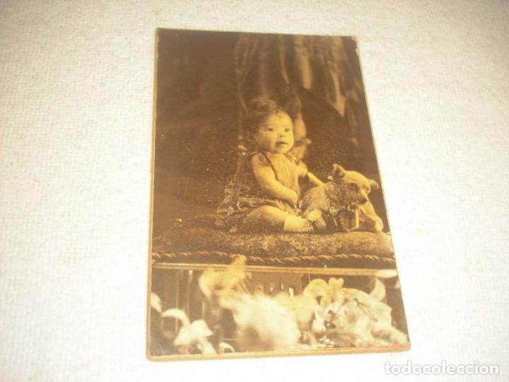 Antique Photography: ANTIGUA FOTO DE BEBE JUNTO A UN PERRITO. FOTO STIL PARIS