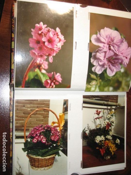 Fotograf&iacute;a antigua: 200 FOTOGRAFIAS DE FLORES Y JARDINES EN ALBUM